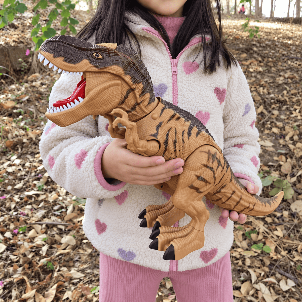 Brinquedo de Dinossauro 16